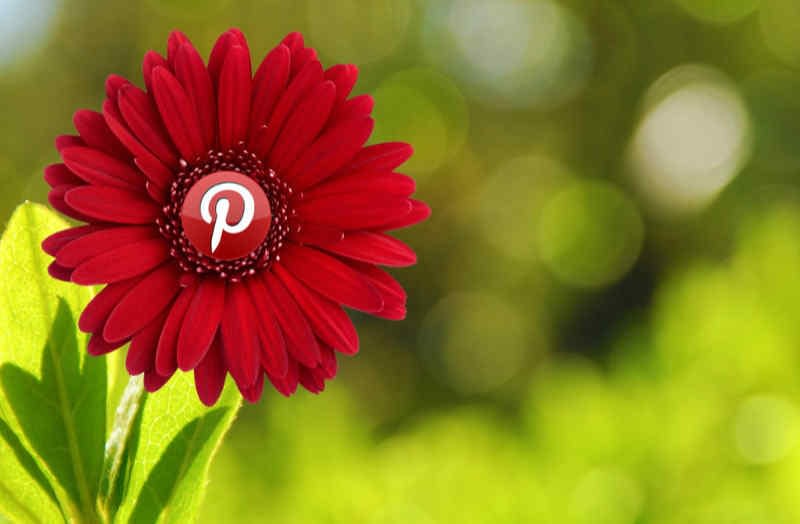 How to use a Pinterest Business Account to get free website traffic.