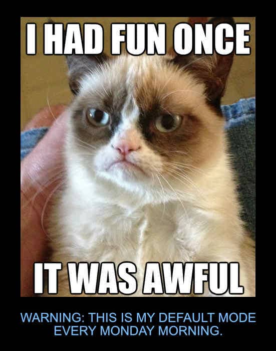 Grumpy Cat meme reflecting that he would have no fun on Mondays.